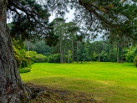 Muckross House